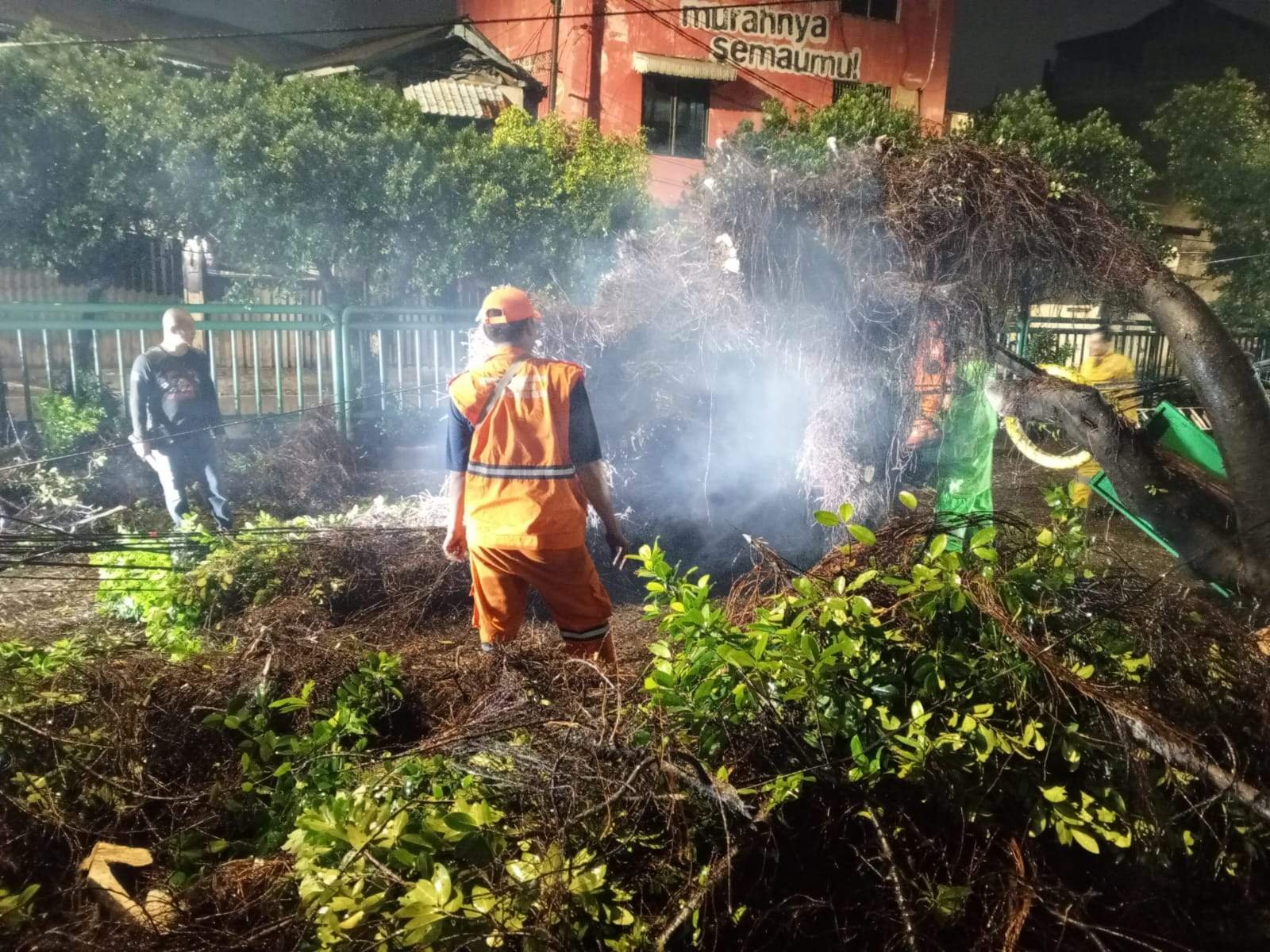 Aduan Warga via 110, Polsek Palmerah bersama Instansi Terkait Tangani Pohon Tumbang Di Ks Tubun
